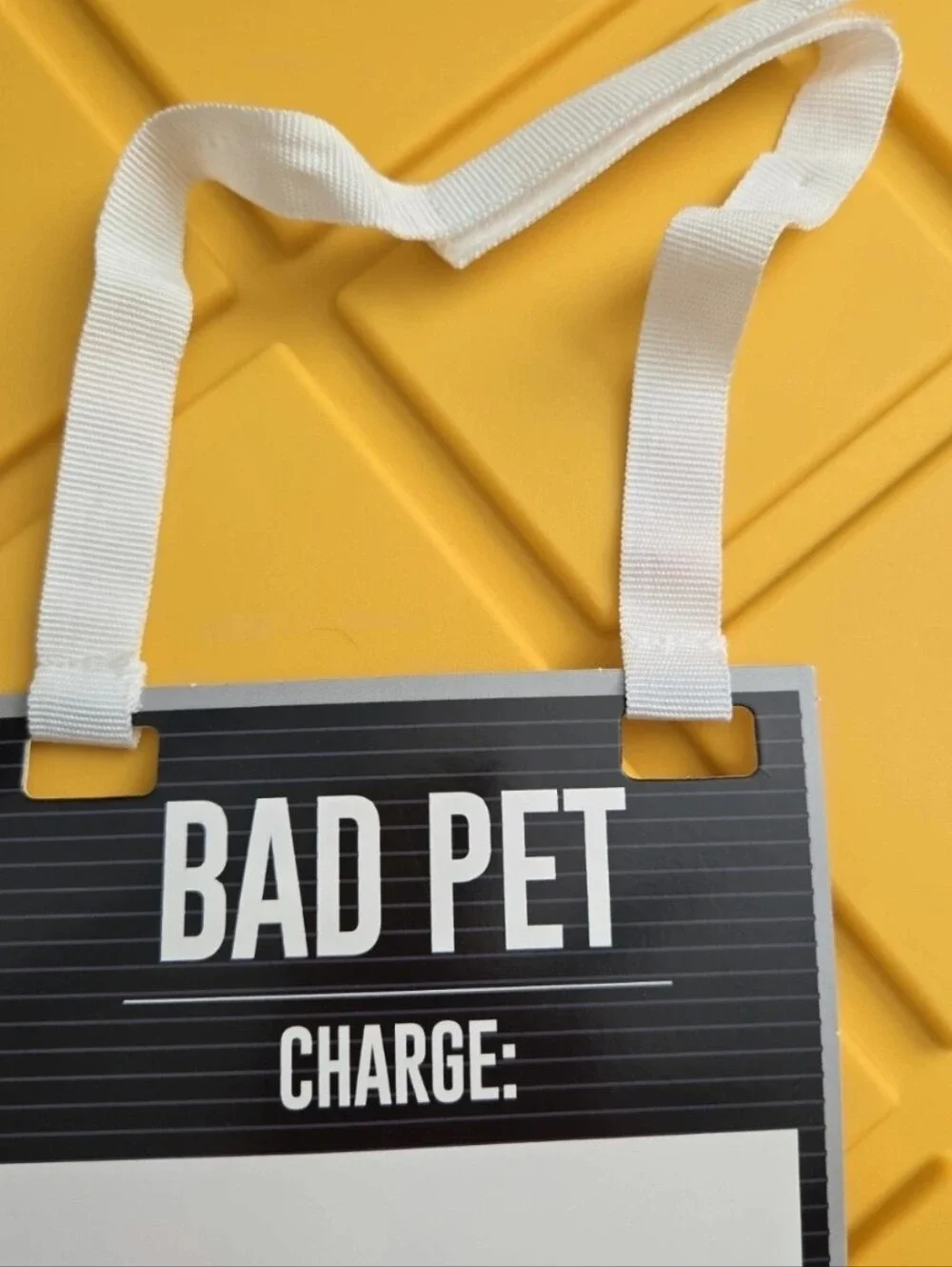 Pet Tentiary Prisoner Black & White Pet Costume